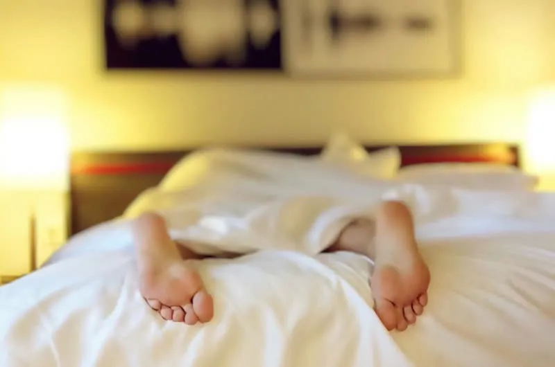 The Science of Sleep: Natural Solutions for Better Rest and Recovery